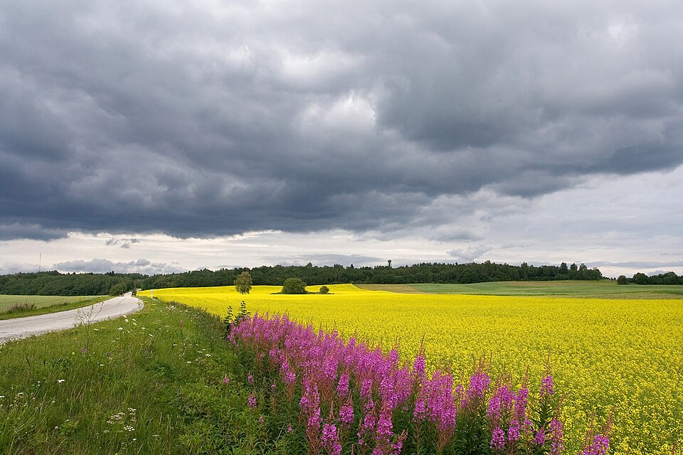 Estonia travel destination